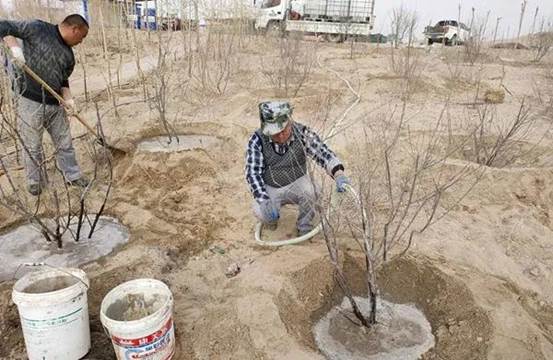 巡线班植树现。ㄖ炖窬 摄）2